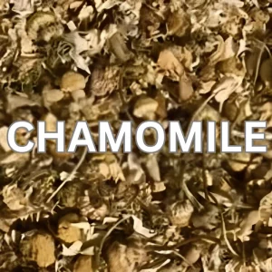 Chamomile Herbs