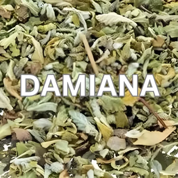 damiana