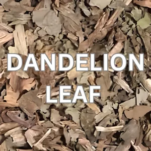 Dandelion Leaf
