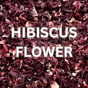 Hibicus Flower