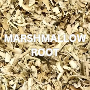 Marshmallow Root