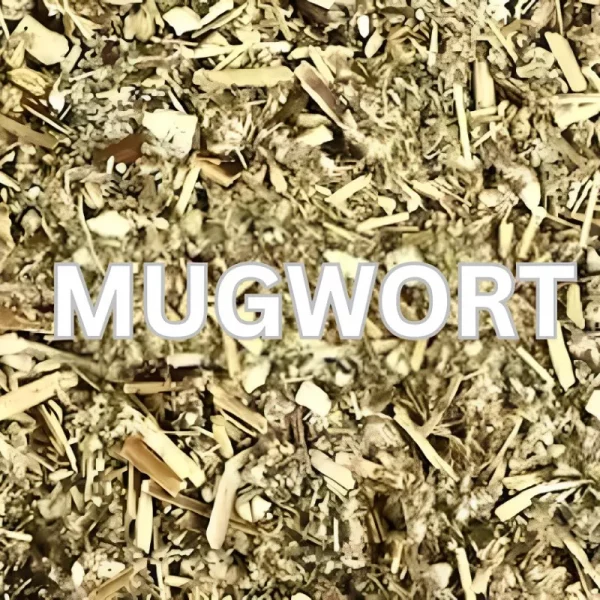 Mugwort