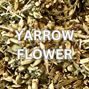 Yattow Flower